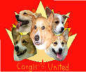 Corgis United Logo