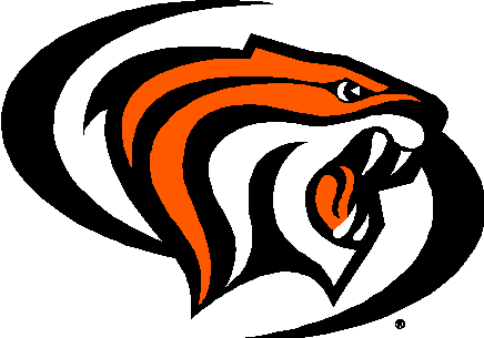 team amc Logo