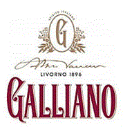 Galliano4827 Logo