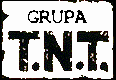 Grupa TNT Logo