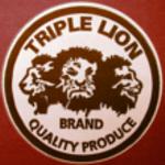 Triple Lion Racing Logo