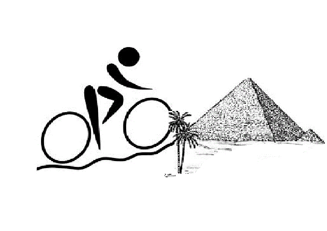 Team Masr Logo