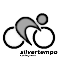 silvertempo Logo