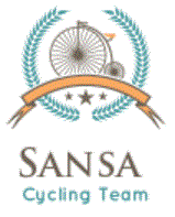Sansa CT Logo
