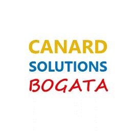 Canard Solutions B Logo