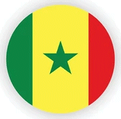 CREW 7 AFRICAN ALLSTARS Logo