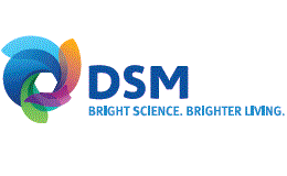 Team DSM Logo